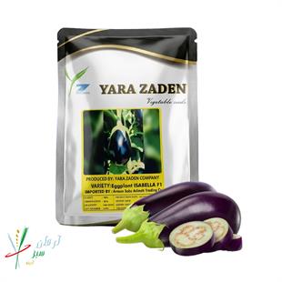 بادمجان هیبرید رقم ایزابلا (YE 2325)